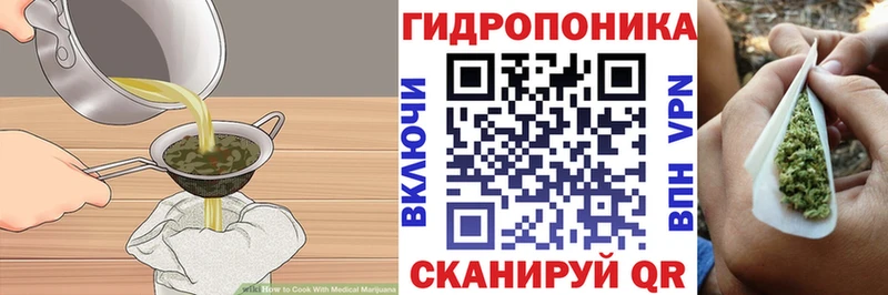 Купить закладки  Грайворон  Cannafood конопля 