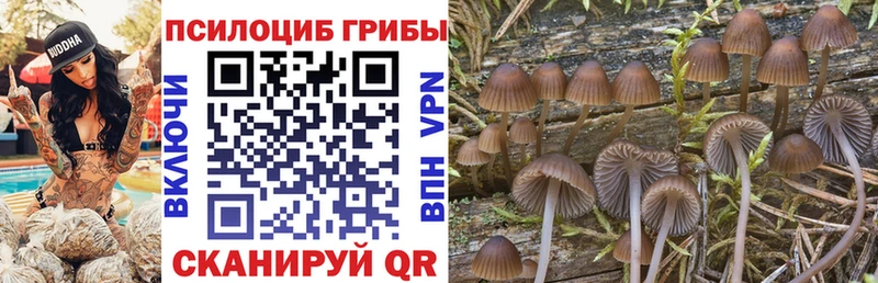 Галлюциногенные грибы GOLDEN TEACHER  Купить  Грайворон 